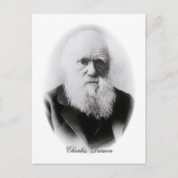Charles Darwin Vignette