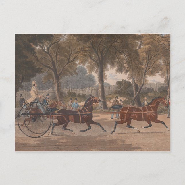 Carte Postale Charles Hunt - Extraordinary Trotting Match (Devant)