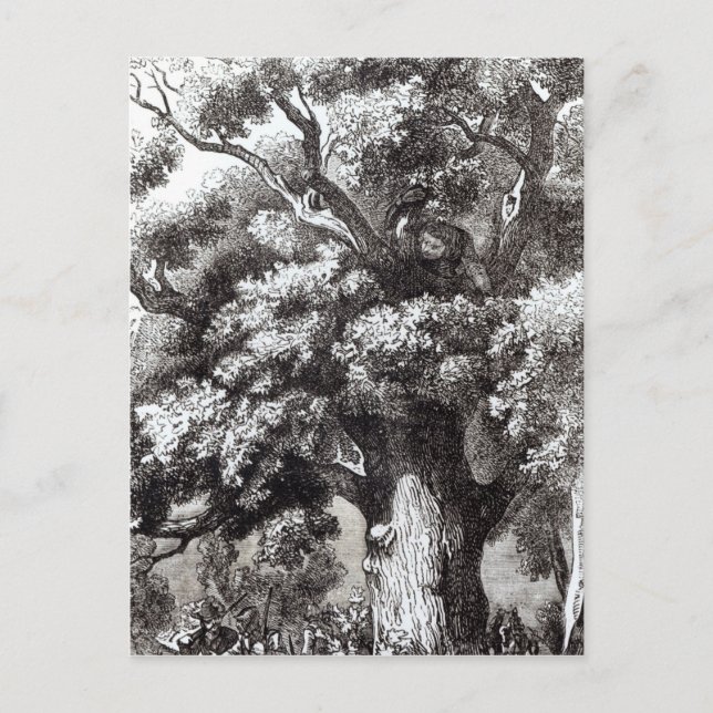 Carte Postale Charles II caché dans le chêne (Devant)