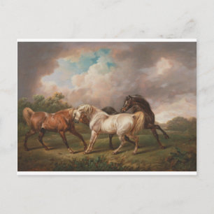 Carte Postale Charles Towne Art Peinture Huile Chevaux Destiny
