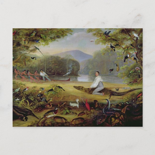 Carte Postale Charles Waterton capture un cayman, 1825-26 (Devant)