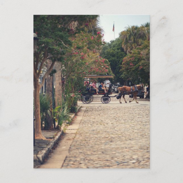Carte Postale Charleston Cobbles (Devant)