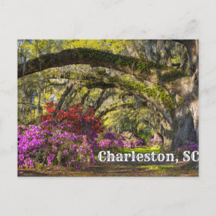 Carte Postale Charleston, Jardin botanique de printemps de Carol