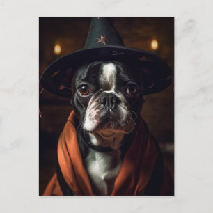 Carte Postale Charmante sorcière Boston Terrier