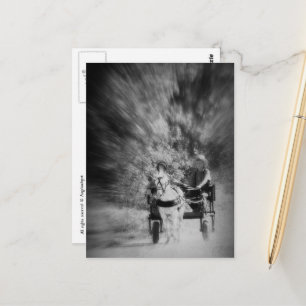 Carte Postale Charrette de poney amish noir et blanc flou de mou