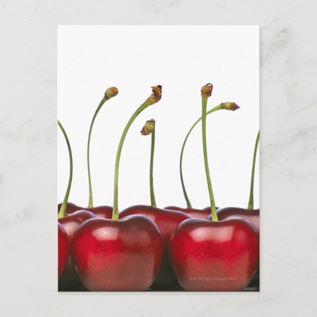 Carte Postale Charries tiré au premier plan de (Devant)