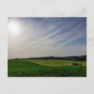 Carte Postale Charrue tirée par des chevaux amish, comté de Holm