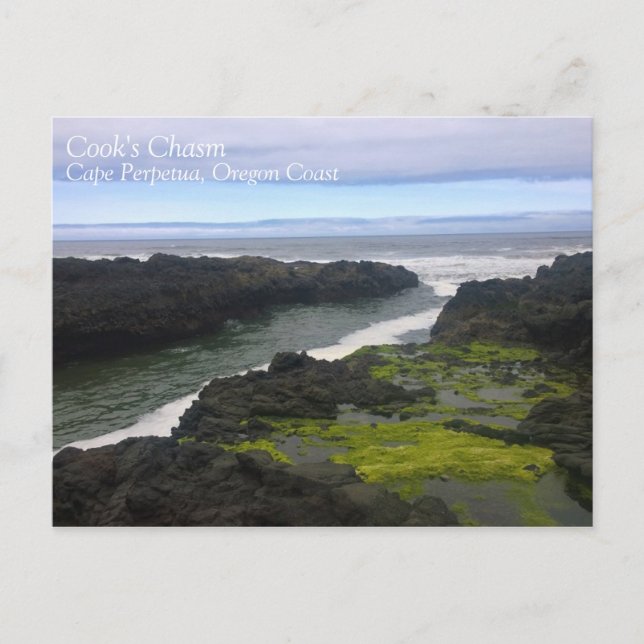 Carte Postale Chasme de Cook, Cape Perpetua, OU (Devant)