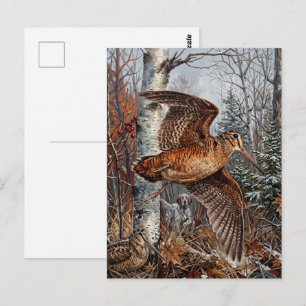 Carte Postale Chasse à la bécasse