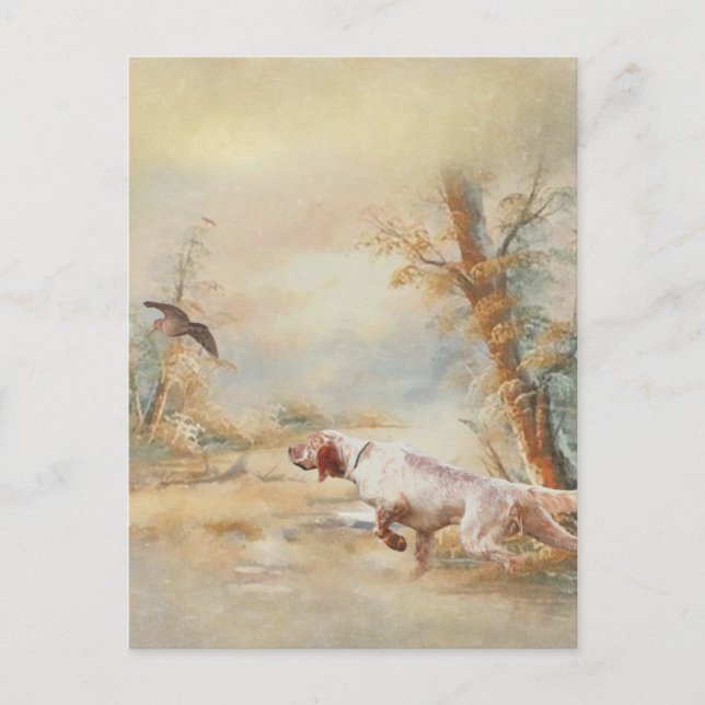Carte Postale Chasse à la bécasse avec setter anglais en forêt,  (Devant)