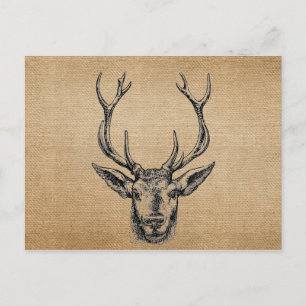 Carte Postale Chasse à la tête de cerf Vintage Burlap