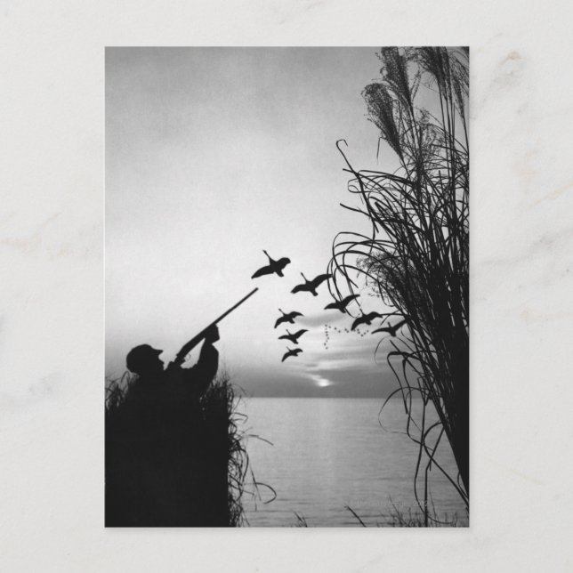 Carte Postale Chasse au canard (Devant)