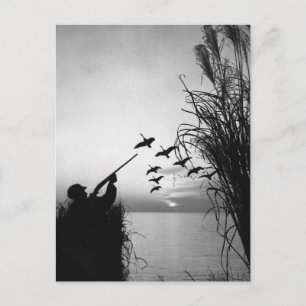 Carte Postale Chasse au canard