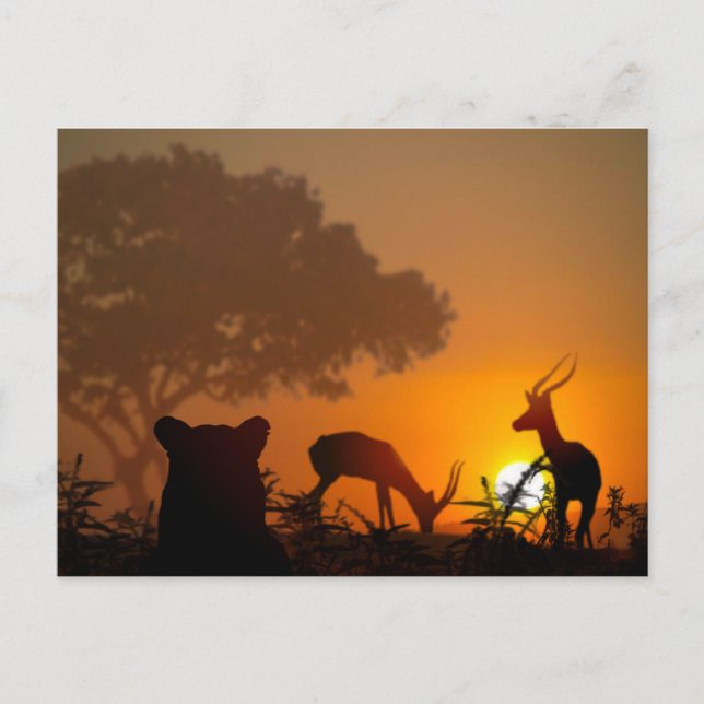 Carte Postale Chasse au lion (Devant)