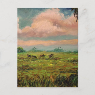 Carte Postale Chasse au porc sauvage en Floride