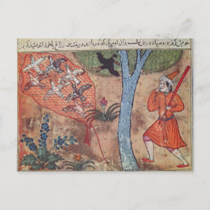 Carte Postale Chasse aux oiseaux, du livre de Kalila et