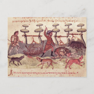 Carte Postale Chasse avec les moustiquaires