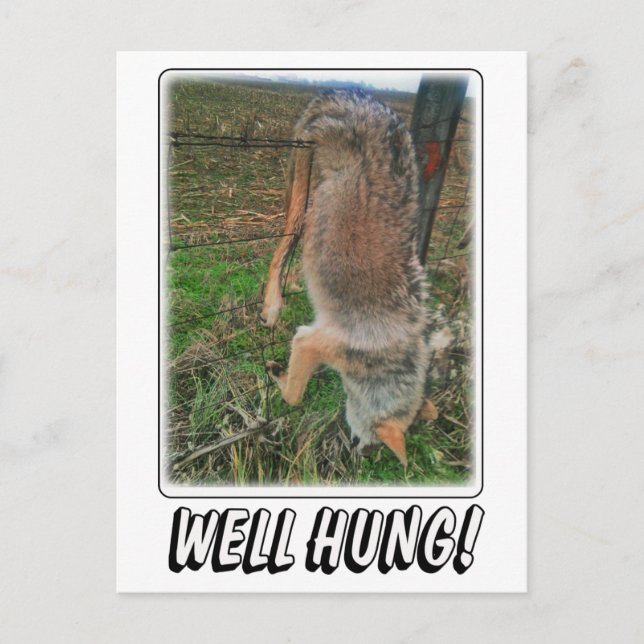 CARTE POSTALE CHASSE EN COYOTE - BIEN COUCHÉ SUR LA BARRIÈRE (Devant)