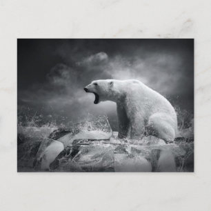Carte Postale Chasseur d'ours blanc sur la glace dans l'eau