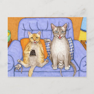 Carte Postale Chat 366 drôles Chats