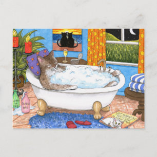 Carte Postale chat 567