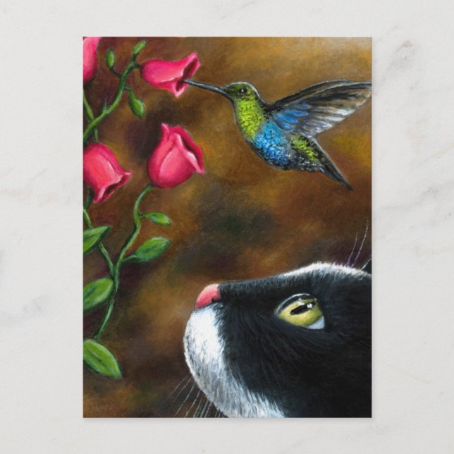 Carte Postale Chat 571 Tuxedo avec colibri (Devant)