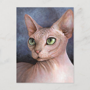 Carte Postale Chat 578 Sphynx