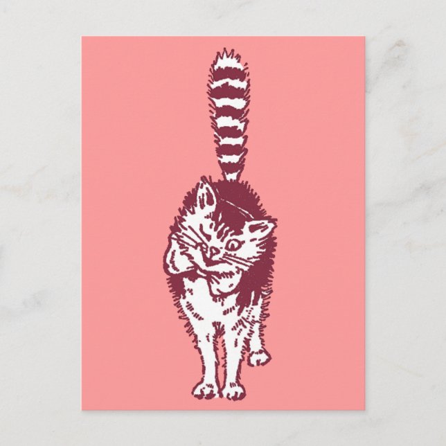 Carte Postale Chat à ailes avec Queue rayée Bushy (Devant)