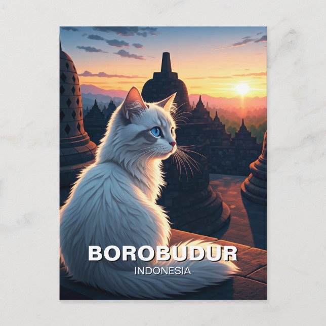 Carte Postale Chat à Borobudur Indonésie coucher de soleil (Devant)