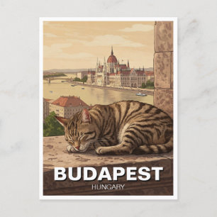 Carte Postale Chat à Budapest Hongrie Parlement Bâtiment Voyage