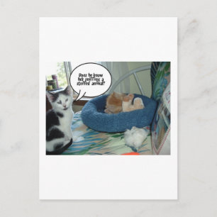 Carte Postale Chat à chat Tabby Orange