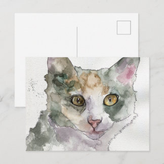 Carte Postale Chat à l'aquarelle