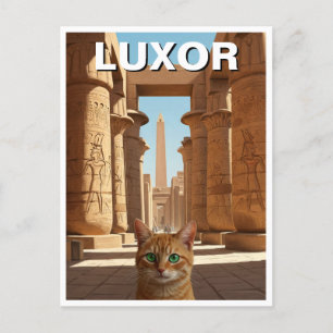 Carte Postale Chat à Louxor Egypte Karnak Temple Voyage