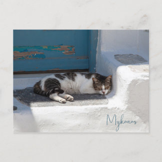 Carte Postale Chat à Mykonos