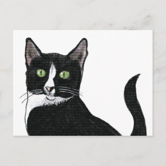 Carte Postale Chat à oreille verte noir et blanc