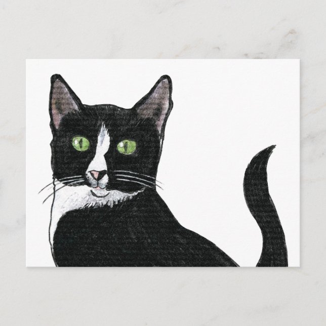 Carte Postale Chat à oreille verte noir et blanc (Devant)