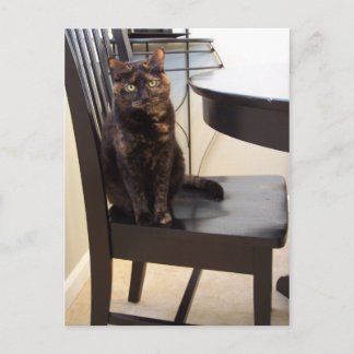Carte Postale chat à table