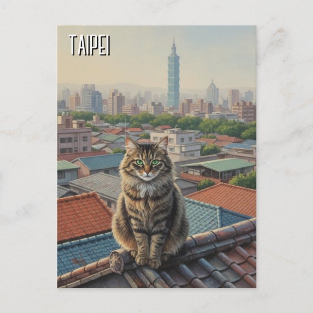 Carte Postale Chat à Taipei 101 Taïwan (Devant)
