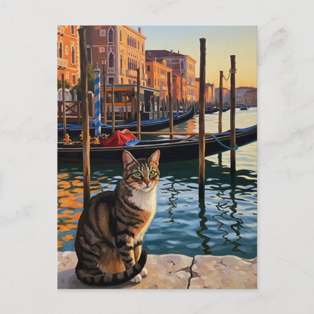 Carte Postale Chat à Venise Italie Voyage (Devant)
