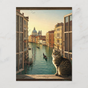 Carte Postale Chat à Venise Italie Voyage Souvenir Peinture