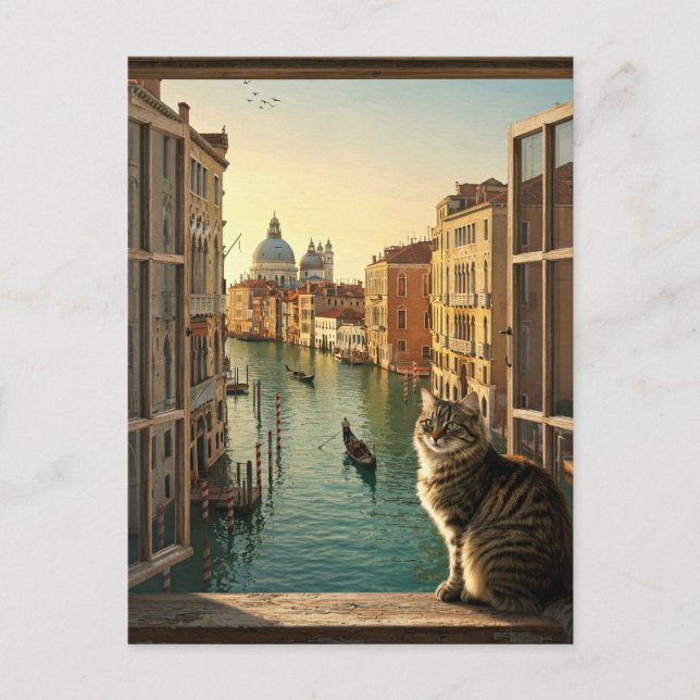 Carte Postale Chat à Venise Italie Voyage Souvenir Peinture (Devant)