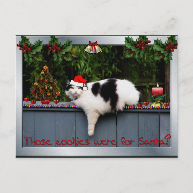 Carte Postale Chat amateur de biscuits (Devant)