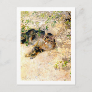 Carte Postale Chat au soleil, Bruno Liljefors
