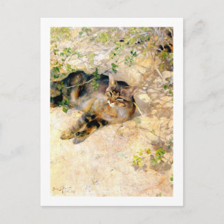Carte Postale Chat au soleil, Bruno Liljefors
