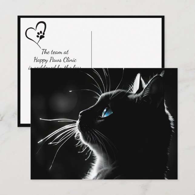 Carte Postale Chat avec éclairage rétro-éclairé pour condoléance (Devant / Derrière)