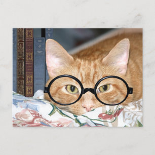 Carte Postale Chat avec lunettes et livres