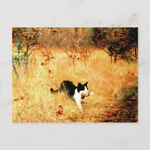 Carte Postale Chat avec oiseau dans la bouche