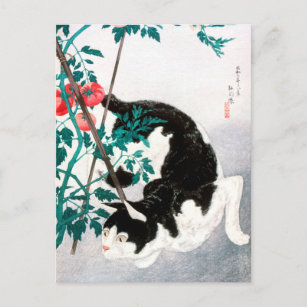 Carte Postale Chat avec Plante tomate (1931) par Hiroaki Takahas