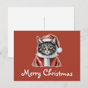 Carte Postale Chat avec tenue du Père Noël - Noël 1