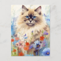 Chat Birman entouré de fleurs
